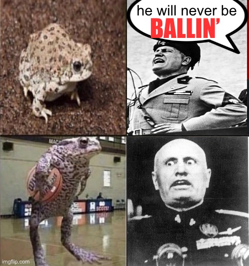 BALLIN’; he will never be | image tagged in ballin | made w/ Imgflip meme maker