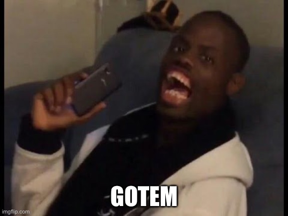 HA! Got him! | GOTEM | image tagged in ha got him | made w/ Imgflip meme maker
