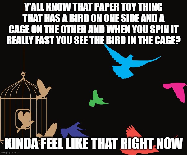 I kinda feel like I'm a bird trapped in a cage, having to "sing the same stupid songs" everyday...pls help | Y'ALL KNOW THAT PAPER TOY THING THAT HAS A BIRD ON ONE SIDE AND A CAGE ON THE OTHER AND WHEN YOU SPIN IT REALLY FAST YOU SEE THE BIRD IN THE CAGE? KINDA FEEL LIKE THAT RIGHT NOW | image tagged in sad gay noises,im the bird and my household is the cage,trying not to rock the boat,pls help | made w/ Imgflip meme maker