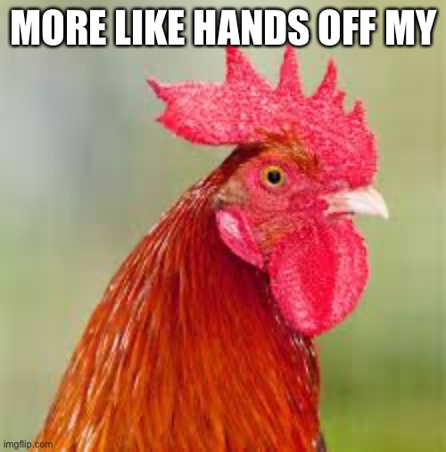 rooster | MORE LIKE HANDS OFF MY | image tagged in rooster | made w/ Imgflip meme maker