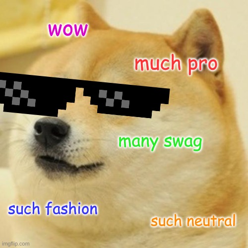 swag doge | wow; much pro; many swag; such fashion; such neutral | image tagged in memes,doge | made w/ Imgflip meme maker