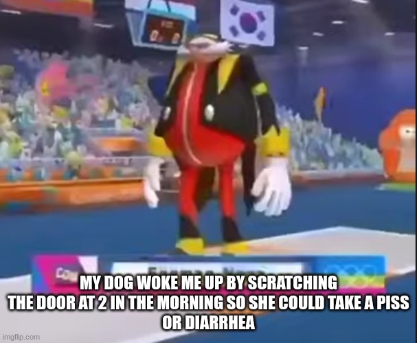 eggman nega | MY DOG WOKE ME UP BY SCRATCHING THE DOOR AT 2 IN THE MORNING SO SHE COULD TAKE A PISS
OR DIARRHEA | image tagged in eggman nega | made w/ Imgflip meme maker