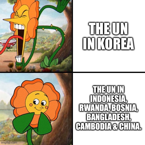 UN-involved in peace. | THE UN IN KOREA; THE UN IN INDONESIA, RWANDA, BOSNIA, BANGLADESH, CAMBODIA & CHINA. | image tagged in angry flower | made w/ Imgflip meme maker