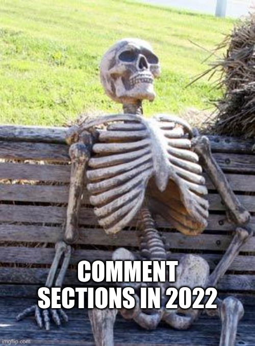 L+ratio bozo | COMMENT SECTIONS IN 2022 | image tagged in memes,waiting skeleton | made w/ Imgflip meme maker