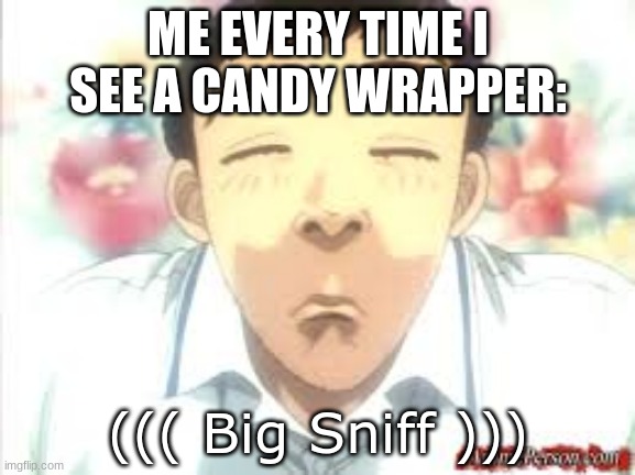 nothing      e                                           e | ME EVERY TIME I SEE A CANDY WRAPPER:; ((( Big Sniff ))) | image tagged in e | made w/ Imgflip meme maker