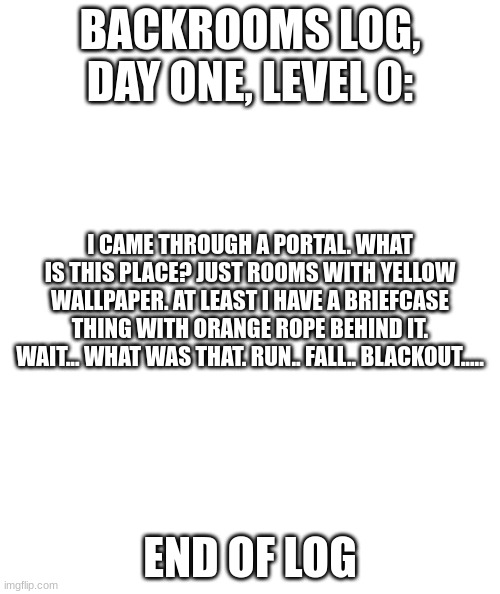 Bckrooms Log, day 1, level 0... | BACKROOMS LOG, DAY ONE, LEVEL 0:; I CAME THROUGH A PORTAL. WHAT IS THIS PLACE? JUST ROOMS WITH YELLOW WALLPAPER. AT LEAST I HAVE A BRIEFCASE THING WITH ORANGE ROPE BEHIND IT. WAIT... WHAT WAS THAT. RUN.. FALL.. BLACKOUT..... END OF LOG | image tagged in white rectangle | made w/ Imgflip meme maker