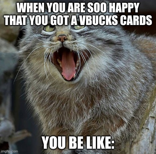 when you get a 19 dollar fornite card | WHEN YOU ARE SOO HAPPY THAT YOU GOT A VBUCKS CARDS; YOU BE LIKE: | image tagged in so happy cat | made w/ Imgflip meme maker