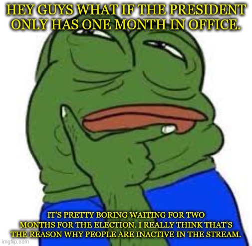 Just a thought | HEY GUYS WHAT IF THE PRESIDENT ONLY HAS ONE MONTH IN OFFICE. IT'S PRETTY BORING WAITING FOR TWO MONTHS FOR THE ELECTION. I REALLY THINK THAT'S THE REASON WHY PEOPLE ARE INACTIVE IN THE STREAM. | image tagged in thinking pepe | made w/ Imgflip meme maker
