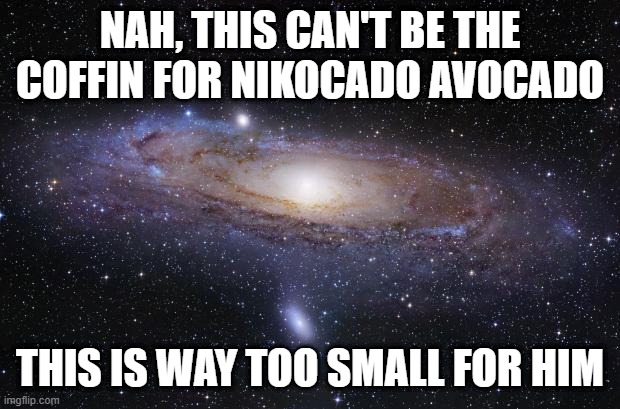 lol | NAH, THIS CAN'T BE THE COFFIN FOR NIKOCADO AVOCADO; THIS IS WAY TOO SMALL FOR HIM | image tagged in memes,funny,gifs,not really a gif,oh wow are you actually reading these tags,stop reading the tags | made w/ Imgflip meme maker