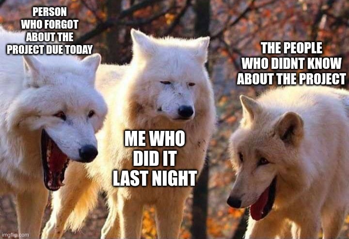 when the teacher who put the project due next week: | PERSON WHO FORGOT ABOUT THE PROJECT DUE TODAY; THE PEOPLE WHO DIDNT KNOW ABOUT THE PROJECT; ME WHO DID IT LAST NIGHT | image tagged in laughing wolf | made w/ Imgflip meme maker