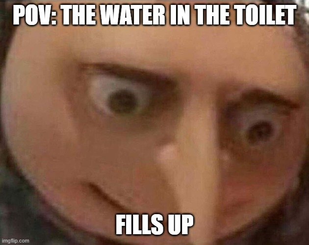 gru meme | POV: THE WATER IN THE TOILET; FILLS UP | image tagged in gru meme | made w/ Imgflip meme maker