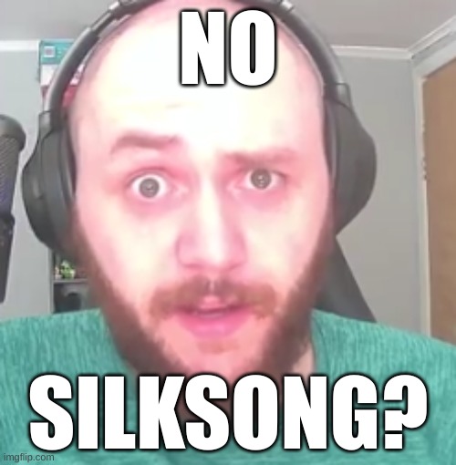 NO; SILKSONG? | made w/ Imgflip meme maker