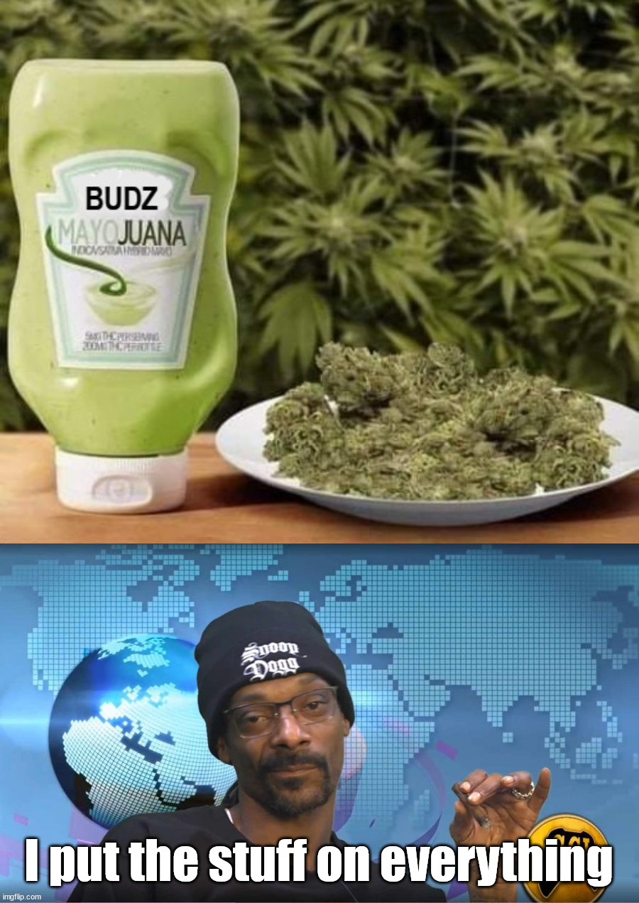 I put the stuff on everything | image tagged in snoop,fake | made w/ Imgflip meme maker