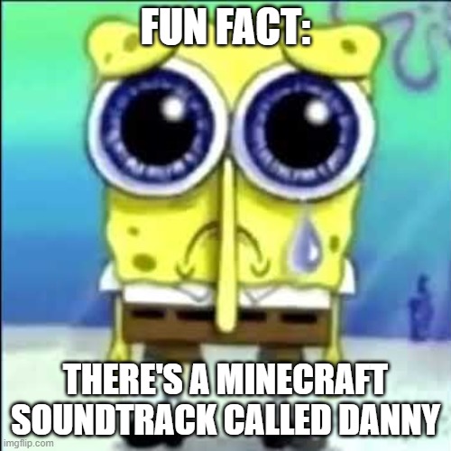 Danny (HE SAID THE D WORD) | FUN FACT:; THERE'S A MINECRAFT SOUNDTRACK CALLED DANNY | image tagged in he,said,the,d,word,he said the d word | made w/ Imgflip meme maker