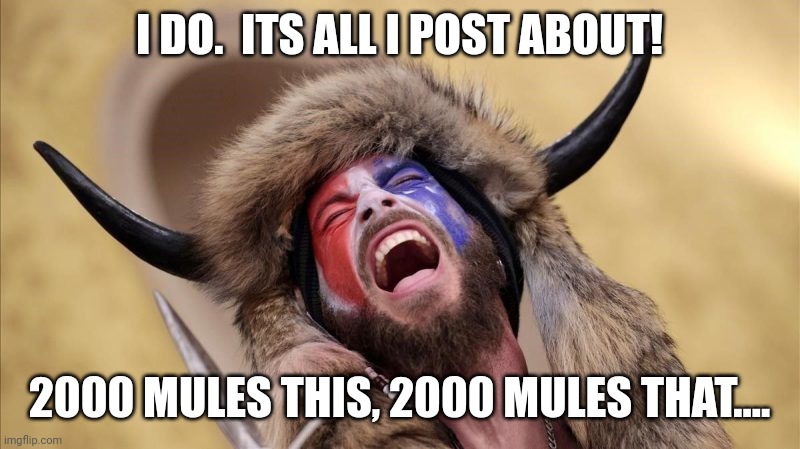 qanon shaman | I DO.  ITS ALL I POST ABOUT! 2000 MULES THIS, 2000 MULES THAT.... | image tagged in qanon shaman | made w/ Imgflip meme maker