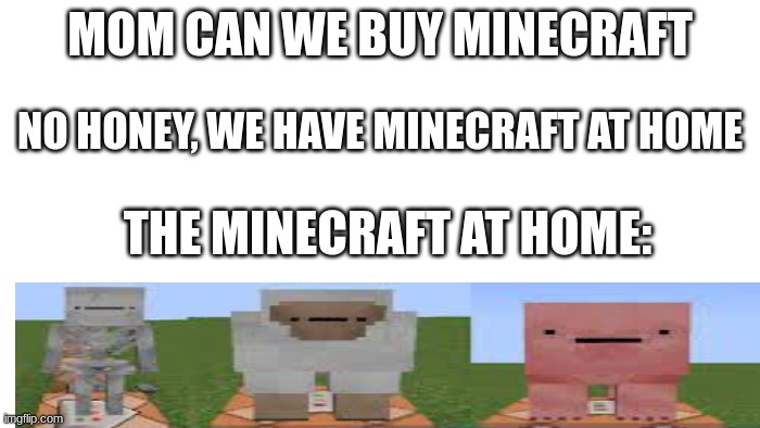 TRANSPARENT | MOM CAN WE BUY MINECRAFT; NO HONEY, WE HAVE MINECRAFT AT HOME; THE MINECRAFT AT HOME: | image tagged in transparent | made w/ Imgflip meme maker