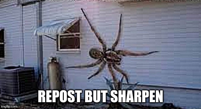 REPOST BUT SHARPEN | made w/ Imgflip meme maker