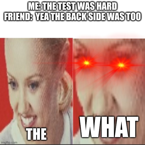 THE WHAT | ME: THE TEST WAS HARD
FRIEND:  YEA THE BACK SIDE WAS TOO; THE; WHAT | image tagged in the what | made w/ Imgflip meme maker