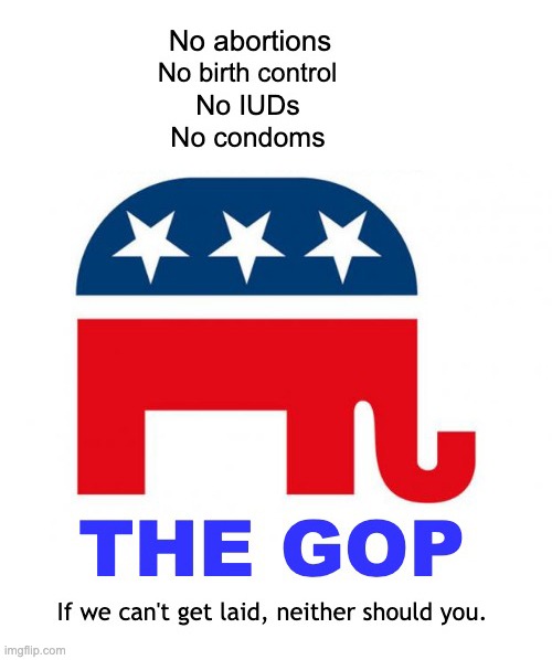 The party of no bitches. | image tagged in gop,republicans,no bitches,abortion | made w/ Imgflip meme maker