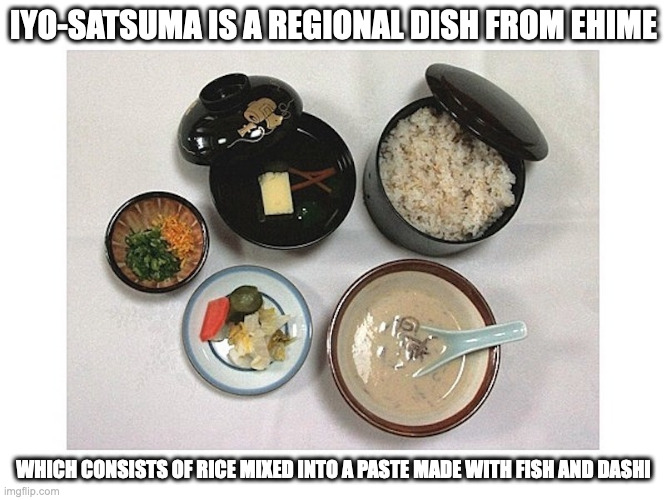 Iyo-Satsuma | IYO-SATSUMA IS A REGIONAL DISH FROM EHIME; WHICH CONSISTS OF RICE MIXED INTO A PASTE MADE WITH FISH AND DASHI | image tagged in food,memes | made w/ Imgflip meme maker