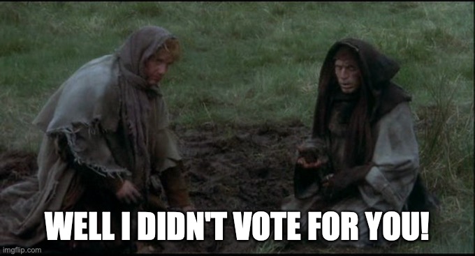 Well I didn't vote for 'im! | WELL I DIDN'T VOTE FOR YOU! | image tagged in well i didn't vote for 'im | made w/ Imgflip meme maker