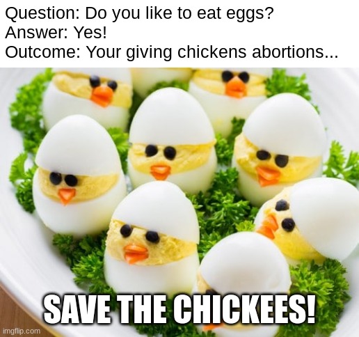 I don't think anyone is going to have eggs for a while after reading this... |  Question: Do you like to eat eggs?
Answer: Yes!
Outcome: Your giving chickens abortions... SAVE THE CHICKEES! | image tagged in chickens | made w/ Imgflip meme maker