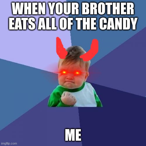Success Kid | WHEN YOUR BROTHER EATS ALL OF THE CANDY; ME | image tagged in memes,success kid | made w/ Imgflip meme maker