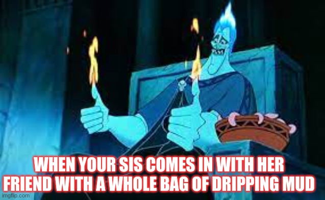 yeah...this happend to me... | WHEN YOUR SIS COMES IN WITH HER FRIEND WITH A WHOLE BAG OF DRIPPING MUD | image tagged in thumbs up bro | made w/ Imgflip meme maker