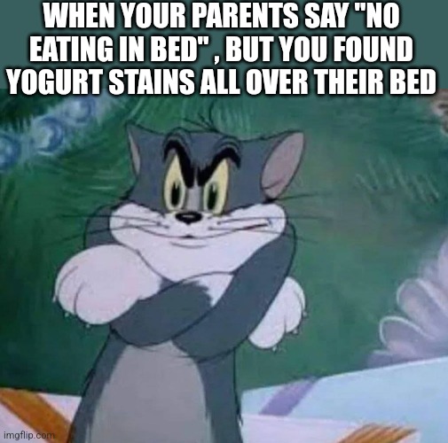 WHEN YOUR PARENTS SAY "NO EATING IN BED" , BUT YOU FOUND YOGURT STAINS ALL OVER THEIR BED | image tagged in funny memes | made w/ Imgflip meme maker