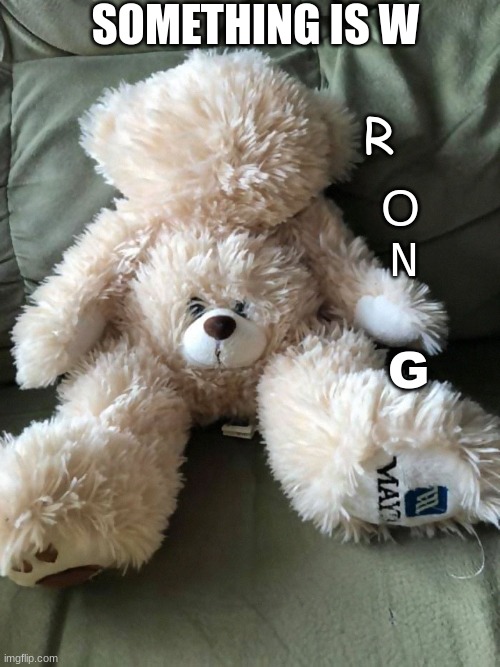 Weird teddy bear | SOMETHING IS W R O N G | image tagged in weird teddy bear | made w/ Imgflip meme maker