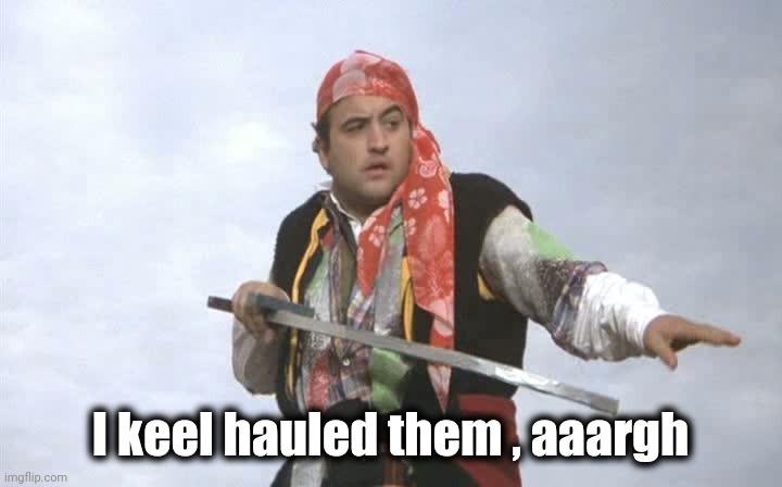 Pirate Belushi | I keel hauled them , aaargh | image tagged in pirate belushi | made w/ Imgflip meme maker