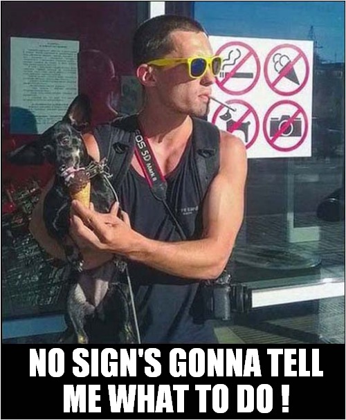 He's A Rebel ! | NO SIGN'S GONNA TELL
 ME WHAT TO DO ! | image tagged in signs,rebel,front page | made w/ Imgflip meme maker