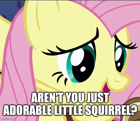 AREN'T YOU JUST ADORABLE LITTLE SQUIRREL? | made w/ Imgflip meme maker
