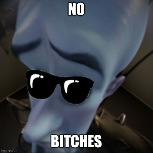 Megamind peeking | NO; BITCHES | image tagged in megamind peeking | made w/ Imgflip meme maker