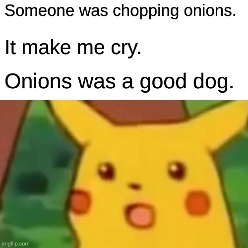 Surprised Pikachu Meme | Someone was chopping onions. It make me cry. Onions was a good dog. | image tagged in memes,surprised pikachu | made w/ Imgflip meme maker