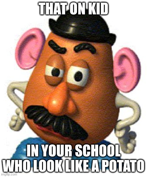 Mr Potato Head |  THAT ON KID; IN YOUR SCHOOL WHO LOOK LIKE A POTATO | image tagged in mr potato head | made w/ Imgflip meme maker