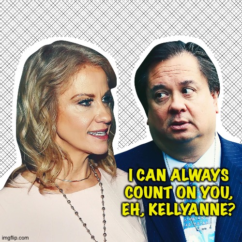 KellyAnne Conway and George Conway | I CAN ALWAYS COUNT ON YOU, EH, KELLYANNE? | image tagged in kellyanne conway and george conway | made w/ Imgflip meme maker