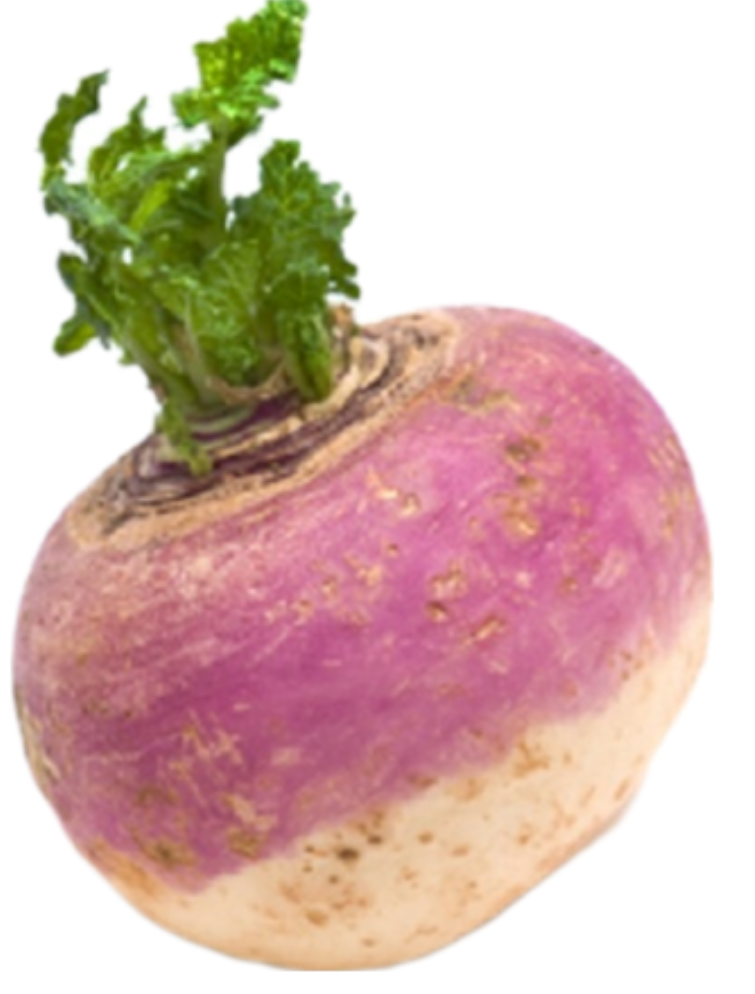 High Quality Turnip - transparent background Blank Meme Template