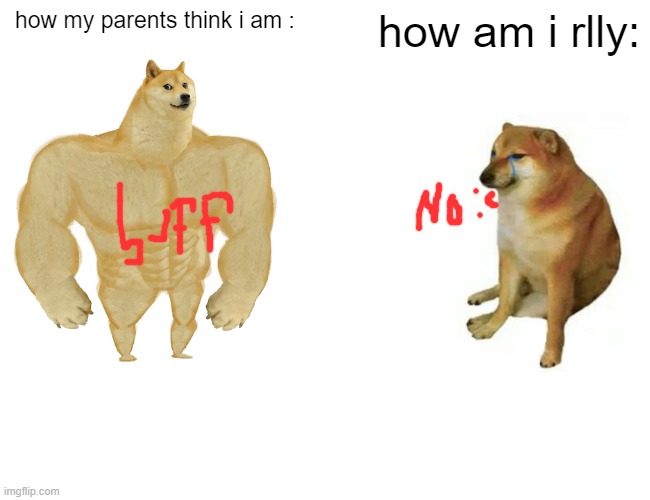 Buff Doge vs. Cheems | how my parents think i am :; how am i rlly: | image tagged in memes,buff doge vs cheems | made w/ Imgflip meme maker