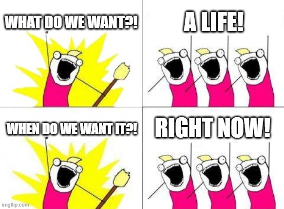 gimmie a life please | WHAT DO WE WANT?! A LIFE! RIGHT NOW! WHEN DO WE WANT IT?! | image tagged in memes,what do we want | made w/ Imgflip meme maker