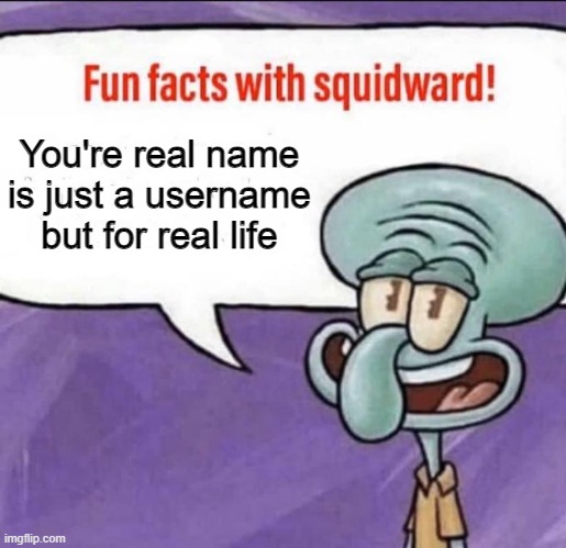 Only difference is they don't display over your head | You're real name is just a username but for real life | image tagged in fun facts with squidward,spongebob,gaming,usernames,memes,and thats a fact | made w/ Imgflip meme maker