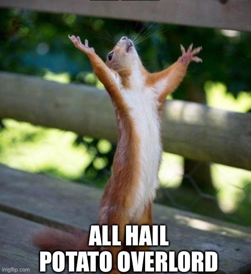 All Hail | ALL HAIL POTATO OVERLORD | image tagged in all hail | made w/ Imgflip meme maker