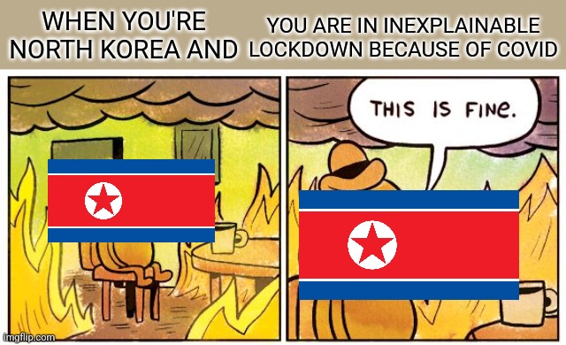 WTF NORTH KOREA???? ARE YOU F**KING SERIOUS KIM JONG UN???? | YOU ARE IN INEXPLAINABLE LOCKDOWN BECAUSE OF COVID; WHEN YOU'RE NORTH KOREA AND | image tagged in memes,this is fine,north korea,coronavirus,covid-19,lockdown | made w/ Imgflip meme maker