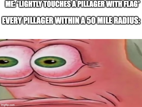 :O | ME: *LIGHTLY TOUCHES A PILLAGER WITH FLAG*; EVERY PILLAGER WITHIN A 50 MILE RADIUS: | image tagged in uh oh im dead,pillager,dies from cringe | made w/ Imgflip meme maker