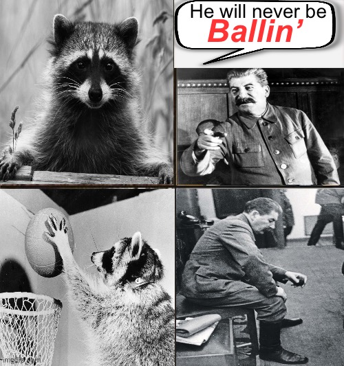 He will never be; Ballin’ | image tagged in memes,raccon,stalin | made w/ Imgflip meme maker