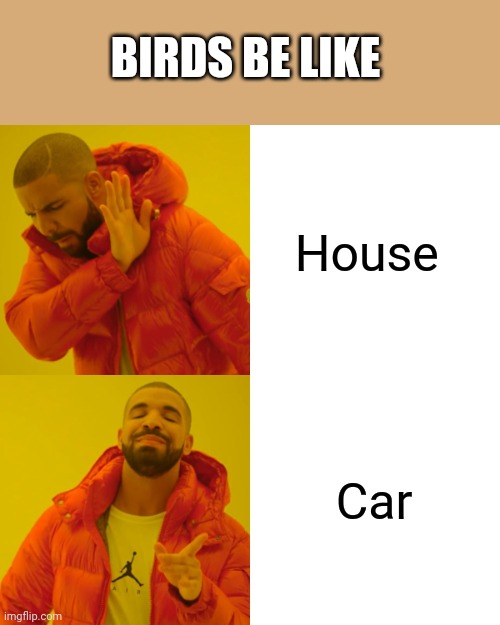 Drake Hotline Bling | BIRDS BE LIKE; House; Car | image tagged in memes,drake hotline bling | made w/ Imgflip meme maker