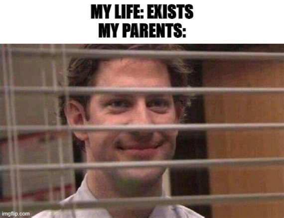 MY LIFE: EXISTS
MY PARENTS: | made w/ Imgflip meme maker