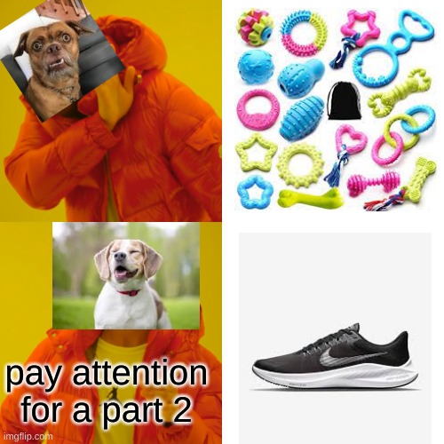 Things I don't understand about pets Part 1 | pay attention for a part 2 | image tagged in memes,drake hotline bling | made w/ Imgflip meme maker