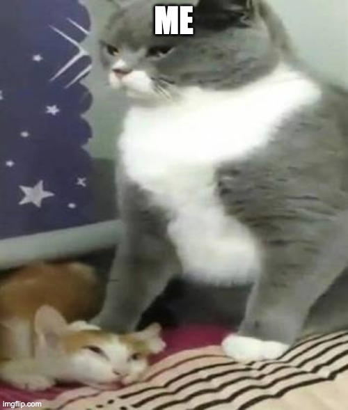 Big cat stomping small cat | ME | image tagged in big cat stomping small cat | made w/ Imgflip meme maker