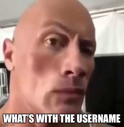 The Rock Eyebrows | WHAT’S WITH THE USERNAME | image tagged in the rock eyebrows | made w/ Imgflip meme maker